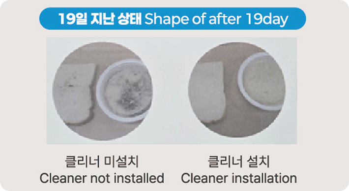 성능 검증 자료